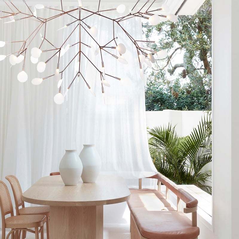 Heracleum Chandelier